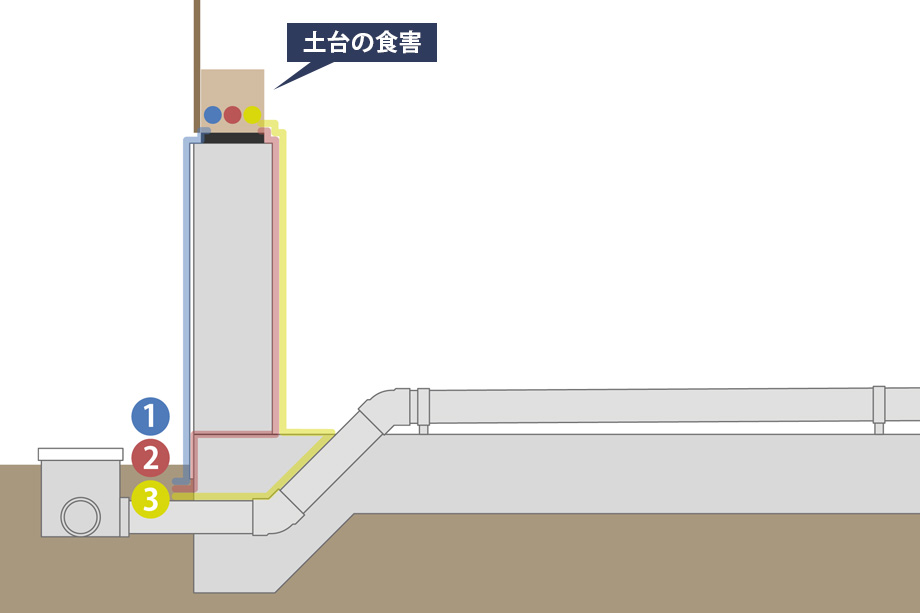 シロアリの侵入経路(基礎周辺)