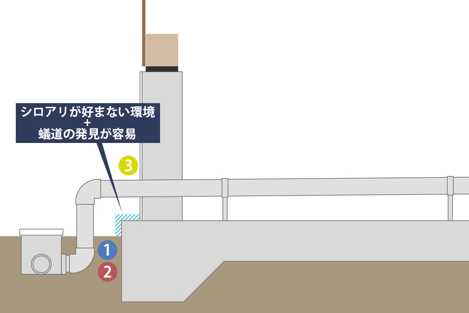シロアリ対策基礎(S3)